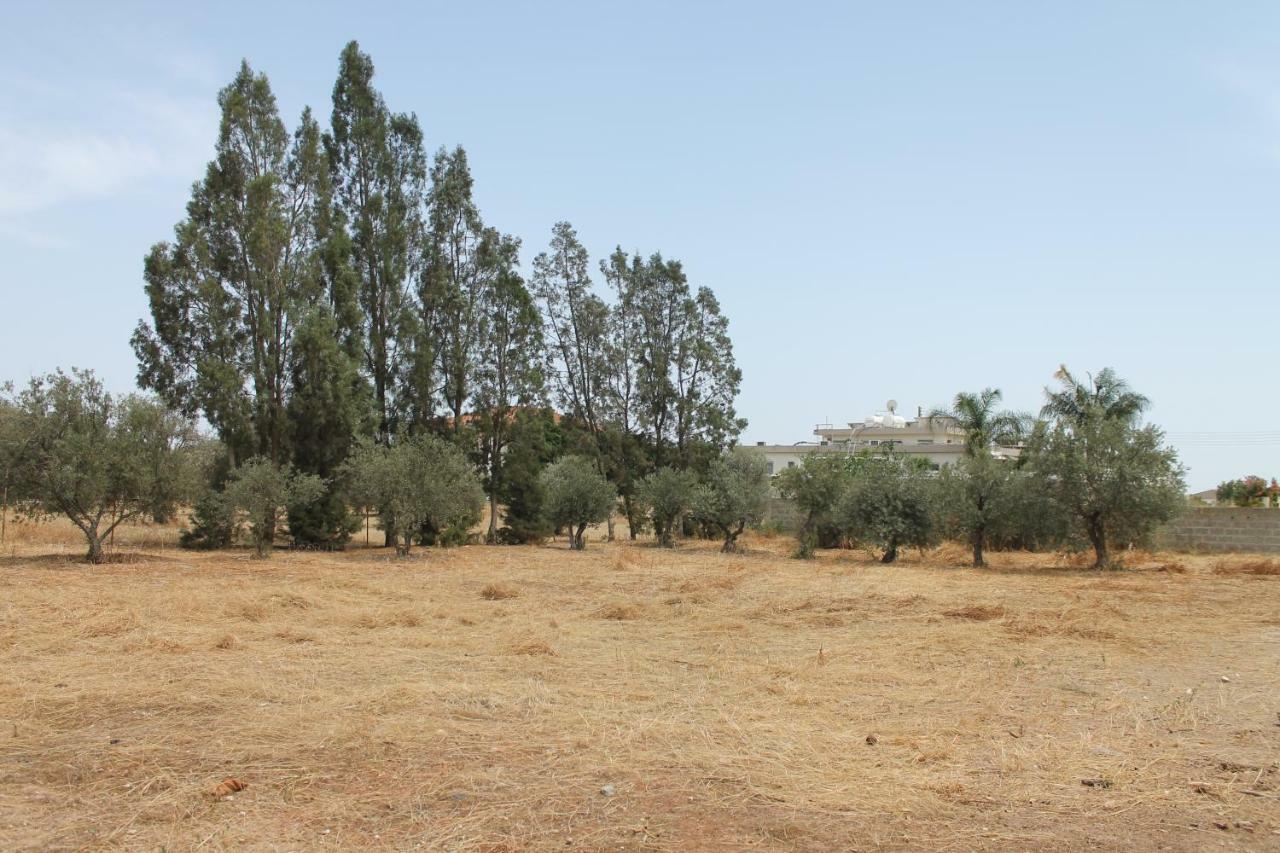 Ithaca Villa Larnaca Exterior foto